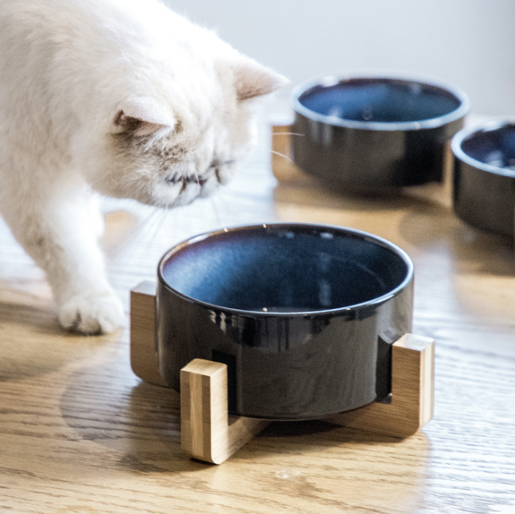 Ceramic Cat Food Bowl