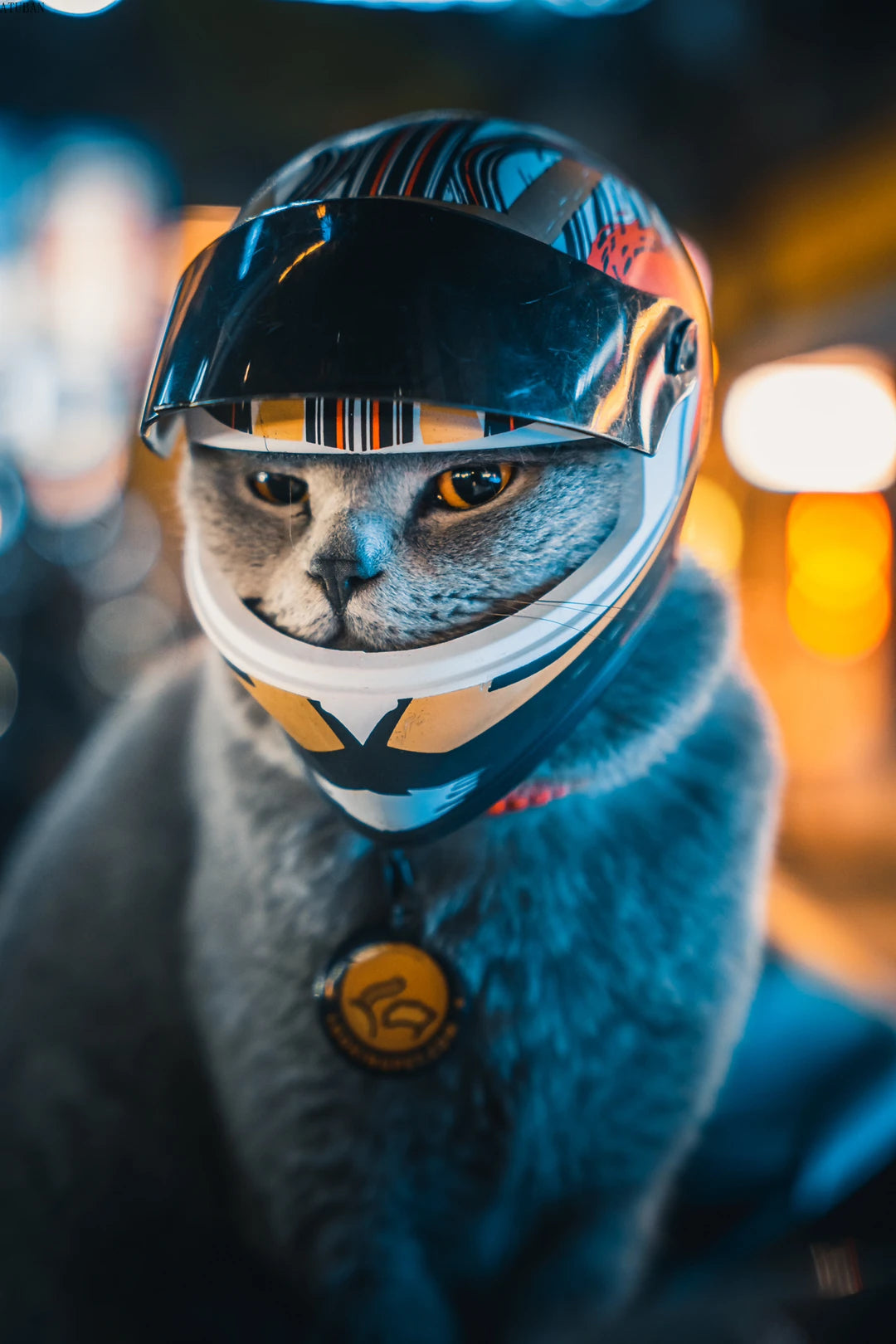 Small Pet Motorcycle Helmet